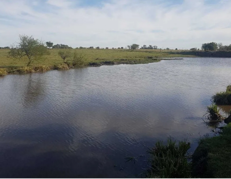 146 ha. Santa Luc&iacute;a - Canelones.