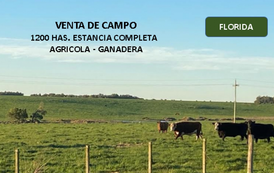 FLORIDA 1200 HAS.ESTANCIA COMPLETA  AGR&Iacute;COLA GANADERA IMPECABLE