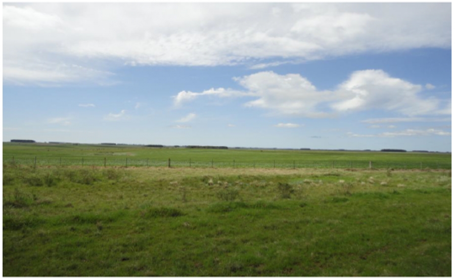 Estancia completa, agr&iacute;cola / ganadera.  FLORIDA
