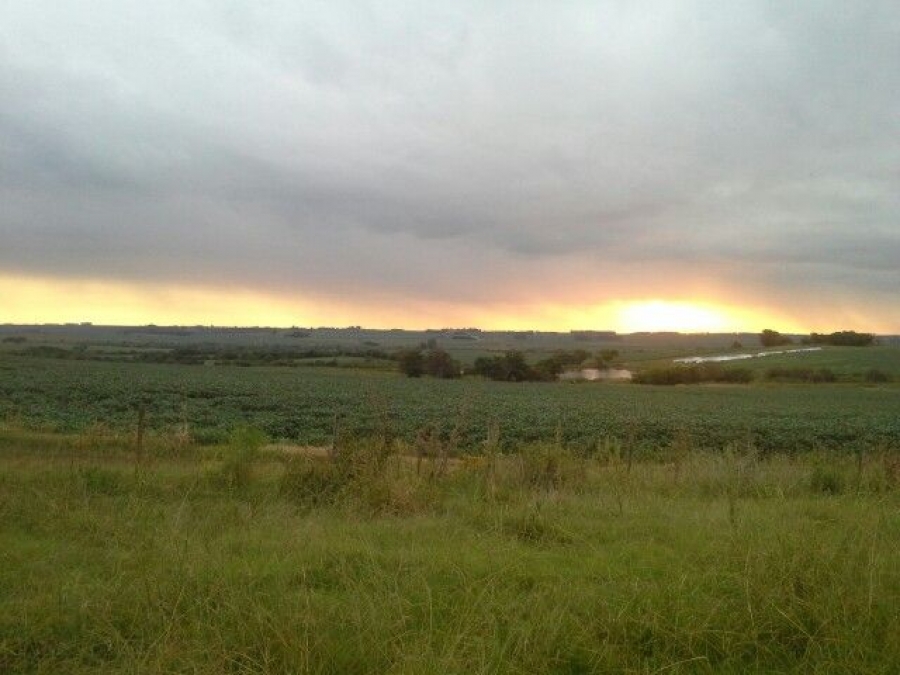 1500 ha. FLORES