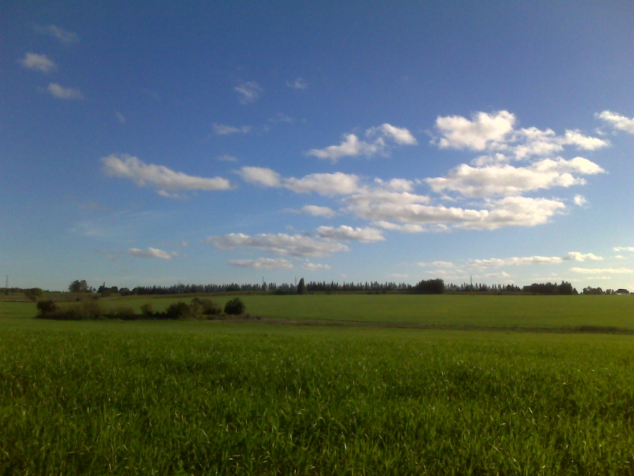 38 ha. FLORIDA.